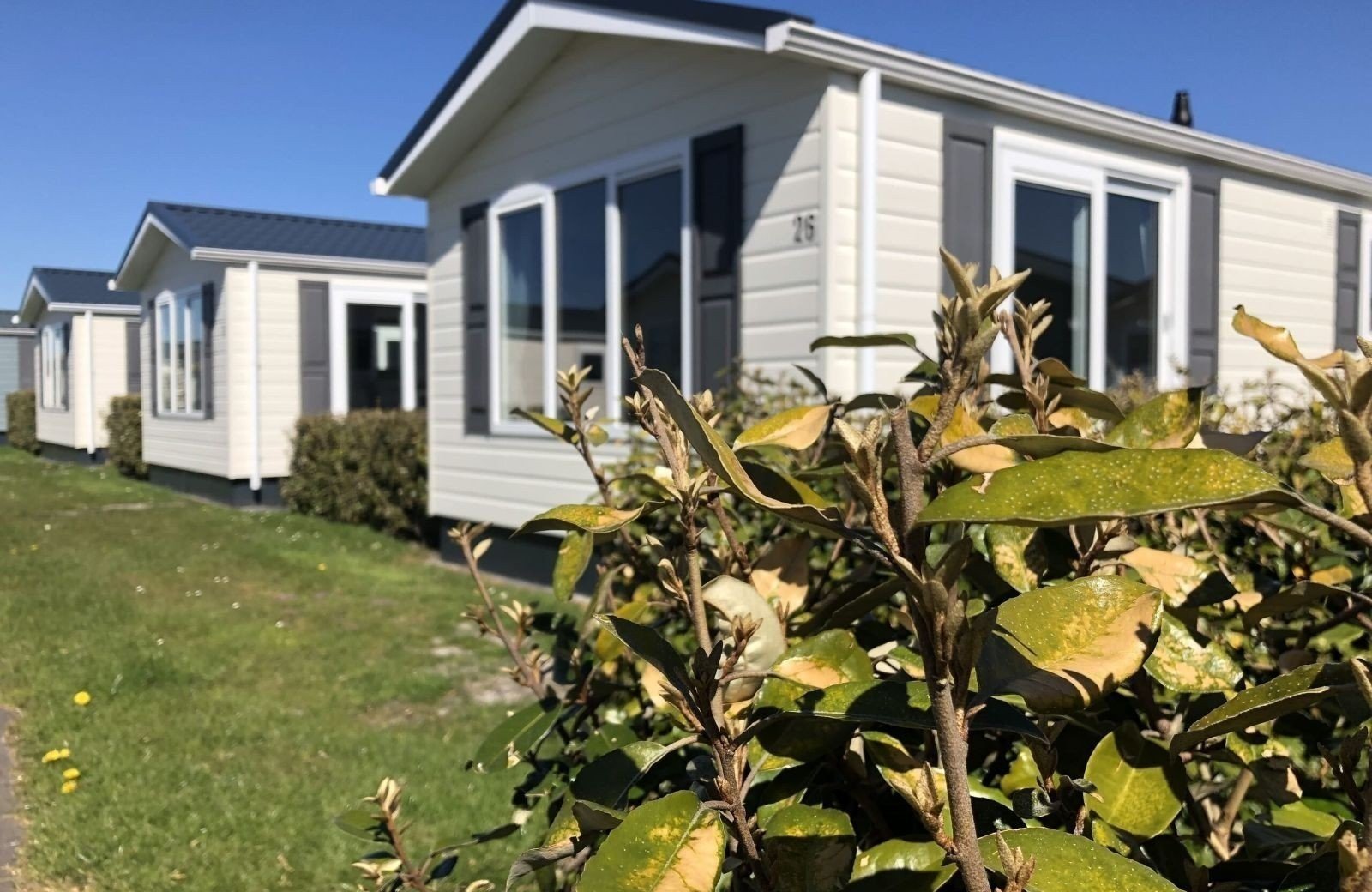 Chalet mieten beim Camping Julianadorp 