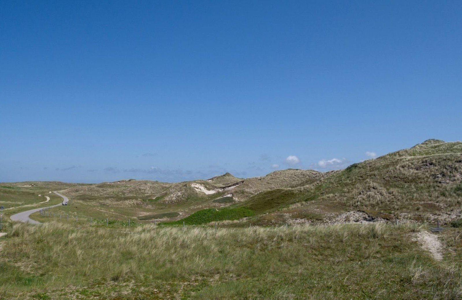Dünen beim Campingplatz Julianadorp