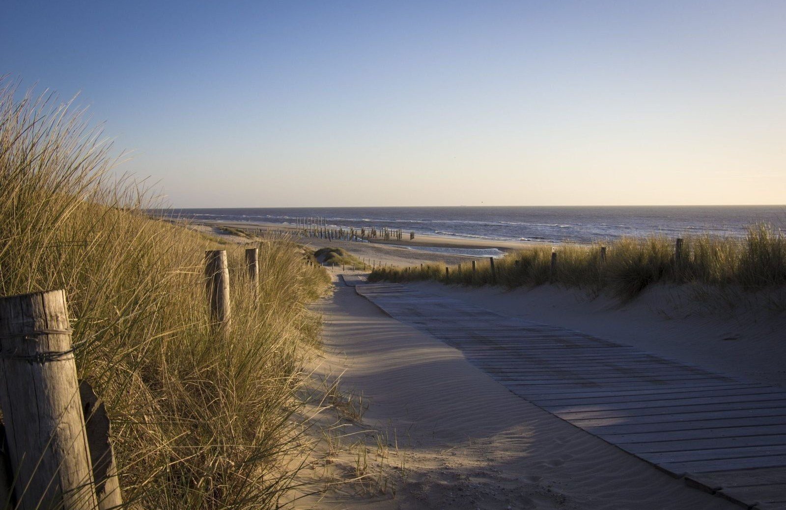 Campingpl&auml;tze Holland direkt am Meer