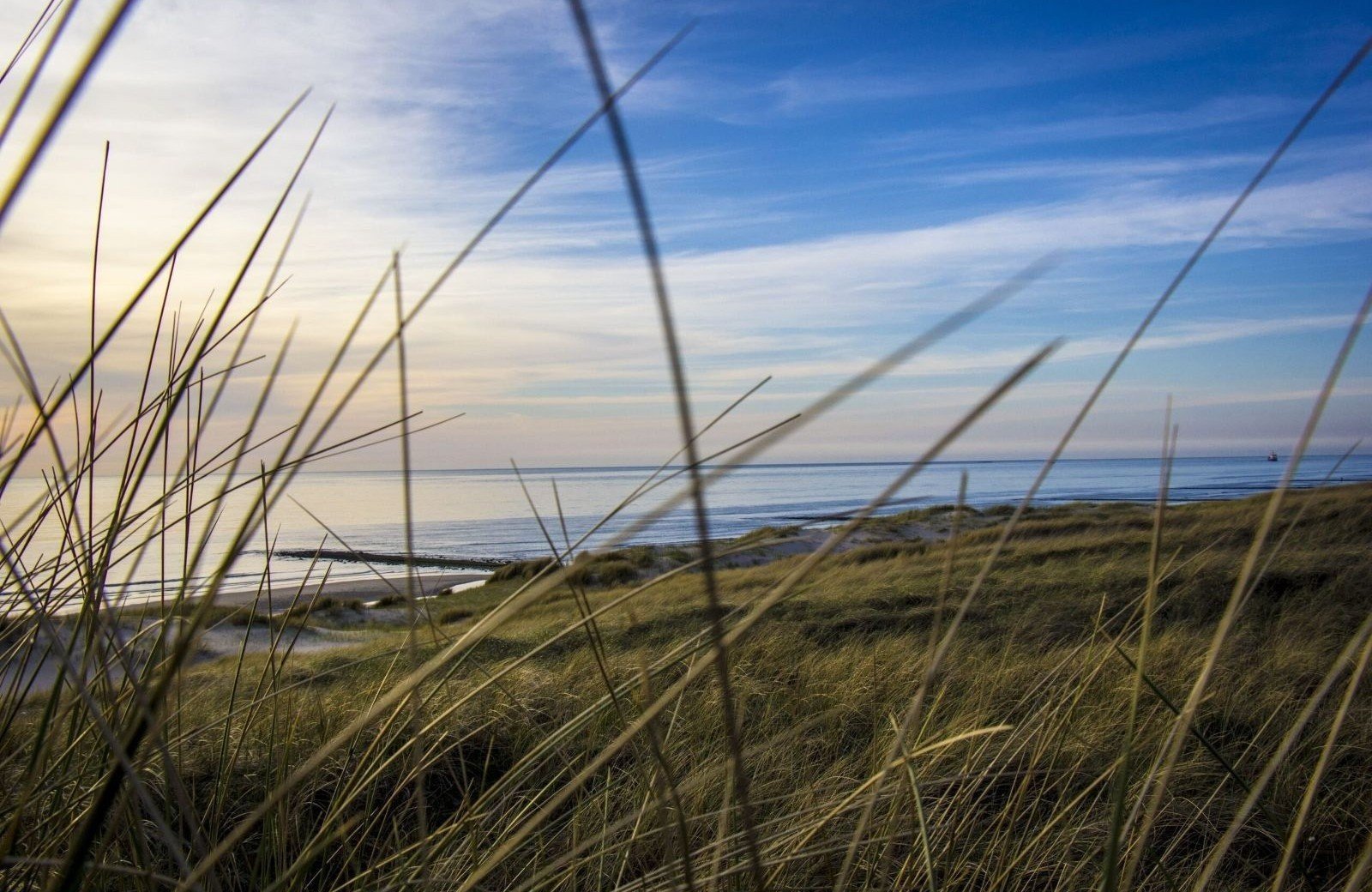 Ferienhäuser Holland am Strand und Dünen